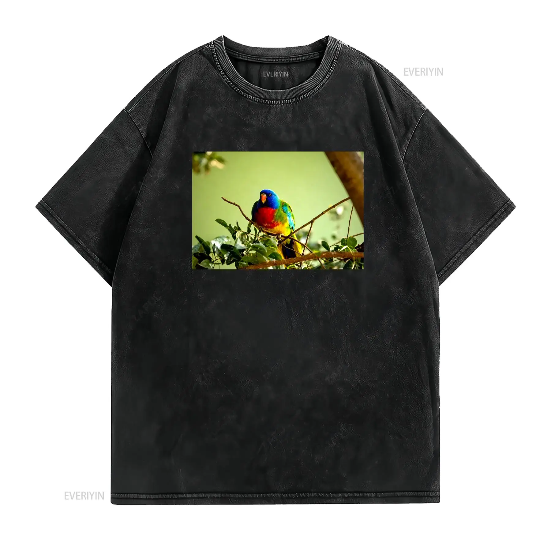 เสื้อยืดลายนกแก้วสีแดง ผลิตในอ - Vintage Fashion Australia บทวิจารณ์และราคา
