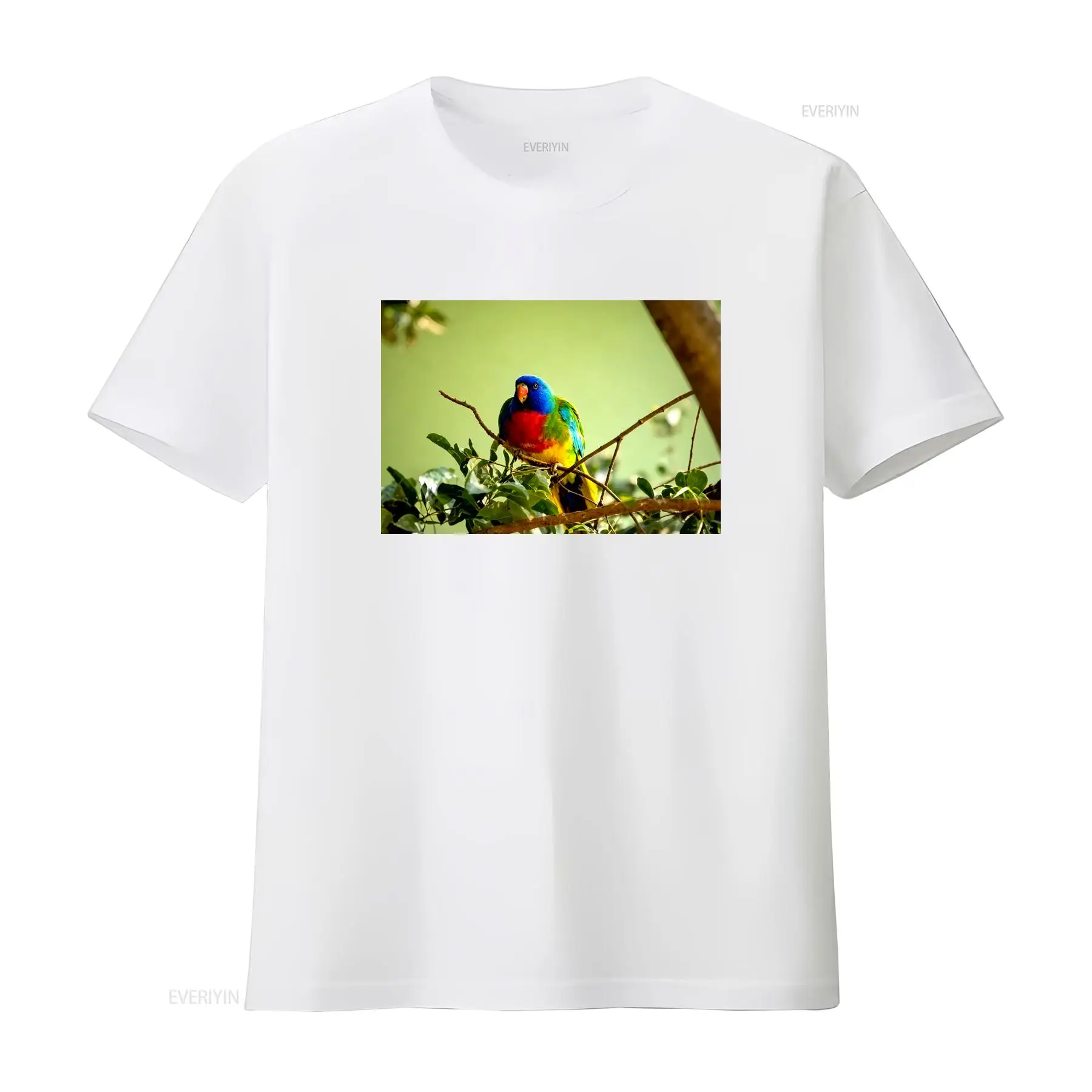 เสื้อยืดลายนกแก้วสีแดง ผลิตในอ - Vintage Fashion Australia บทวิจารณ์และราคา